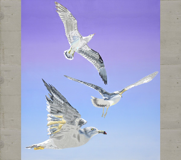 松島のかもめ第8号。 2009年 150 x 130cm